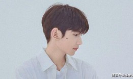 王源爆料杨迪视频大全最新,视频大全曝光惊人瞬间