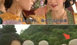 电视剧再生缘在线观看,穿越时空的宿命轮回